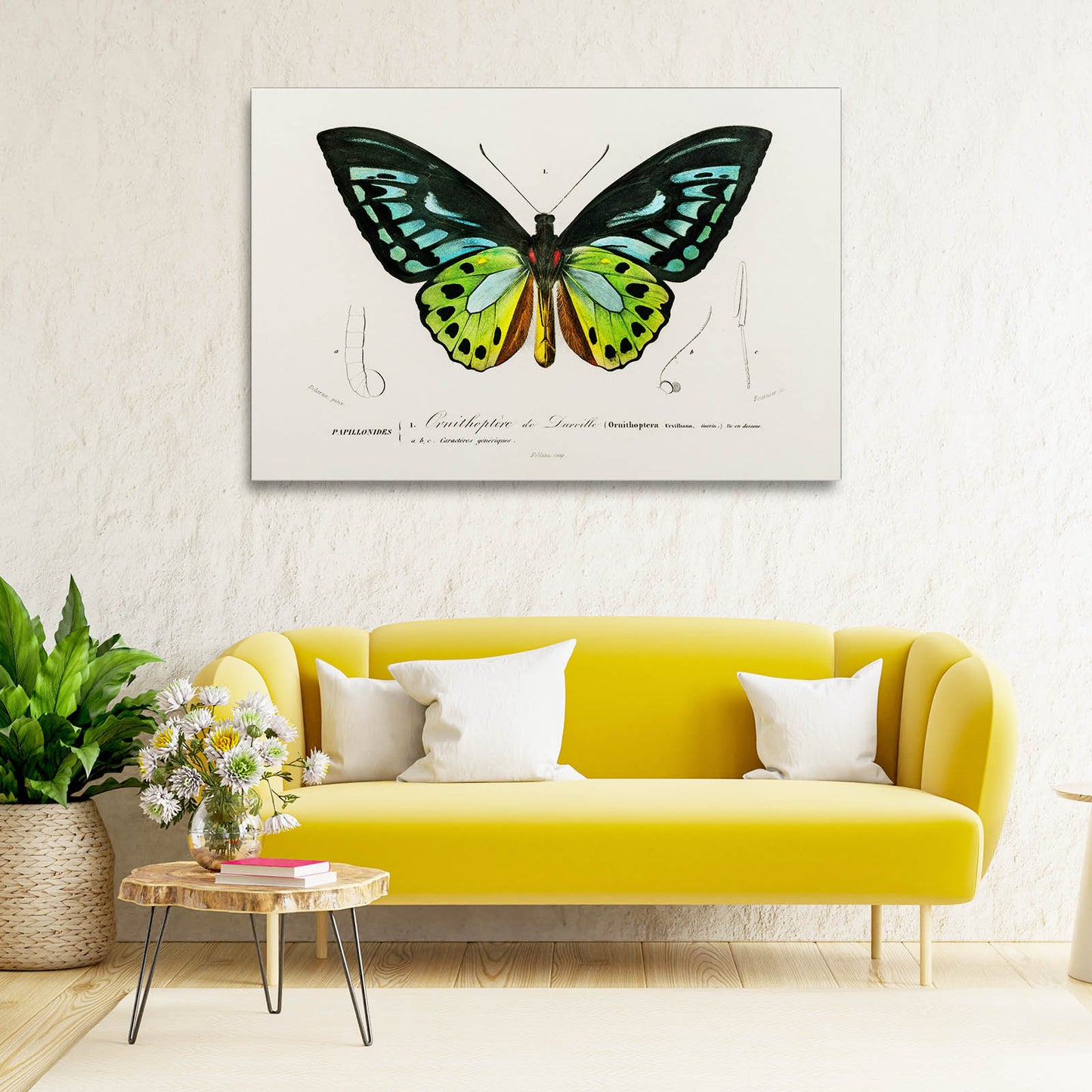 Botanical Butterfly Wall Art