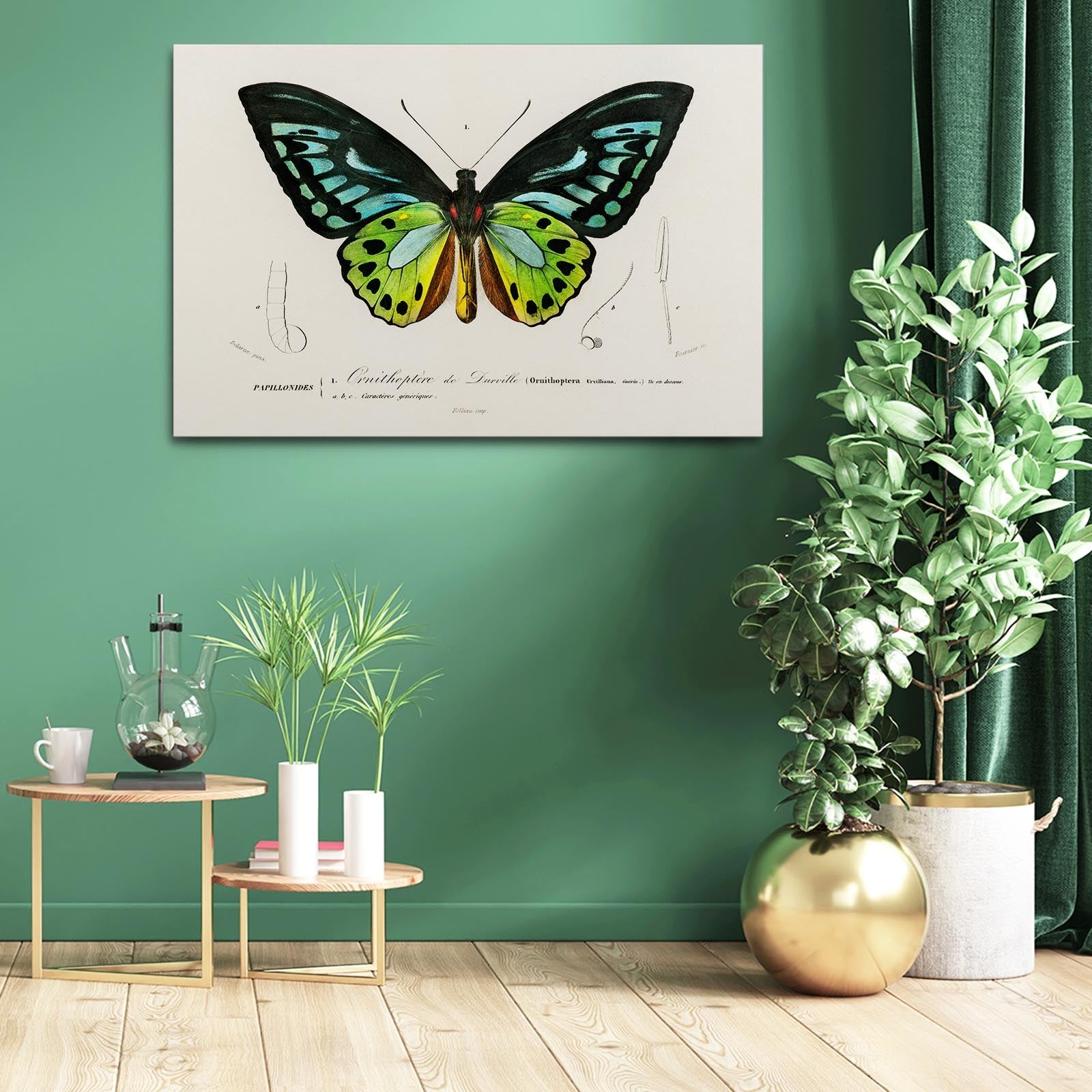 Botanical Butterfly Wall Art