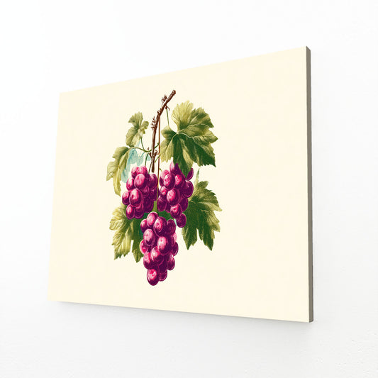 Botanical Grape Cluster Fruit Wall Decor – angled canvas view on white background
