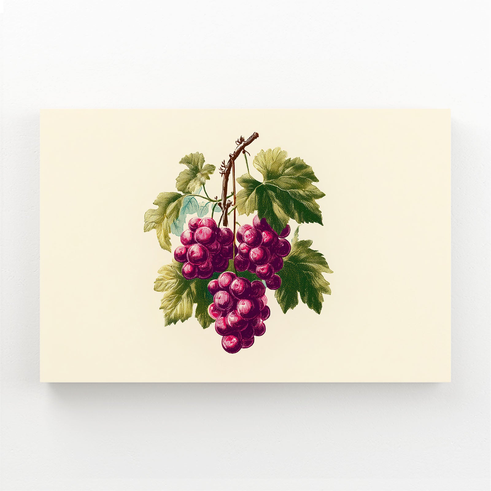 Botanical Grape Cluster Fruit Wall Decor – botanical grape cluster fruit canvas print