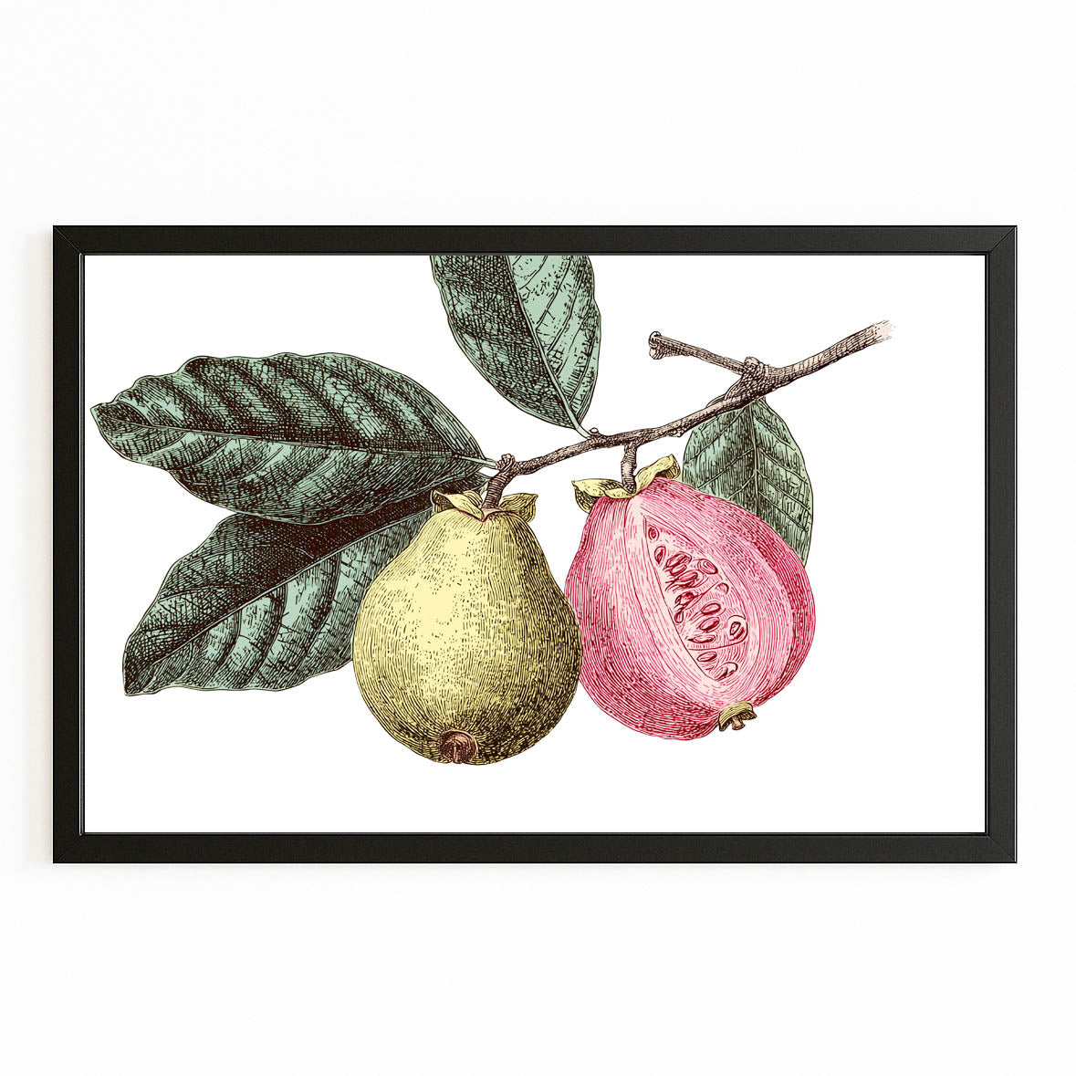 Botanical Pear Guava Fruit Wall Decor – with Premium Black frame on white background
