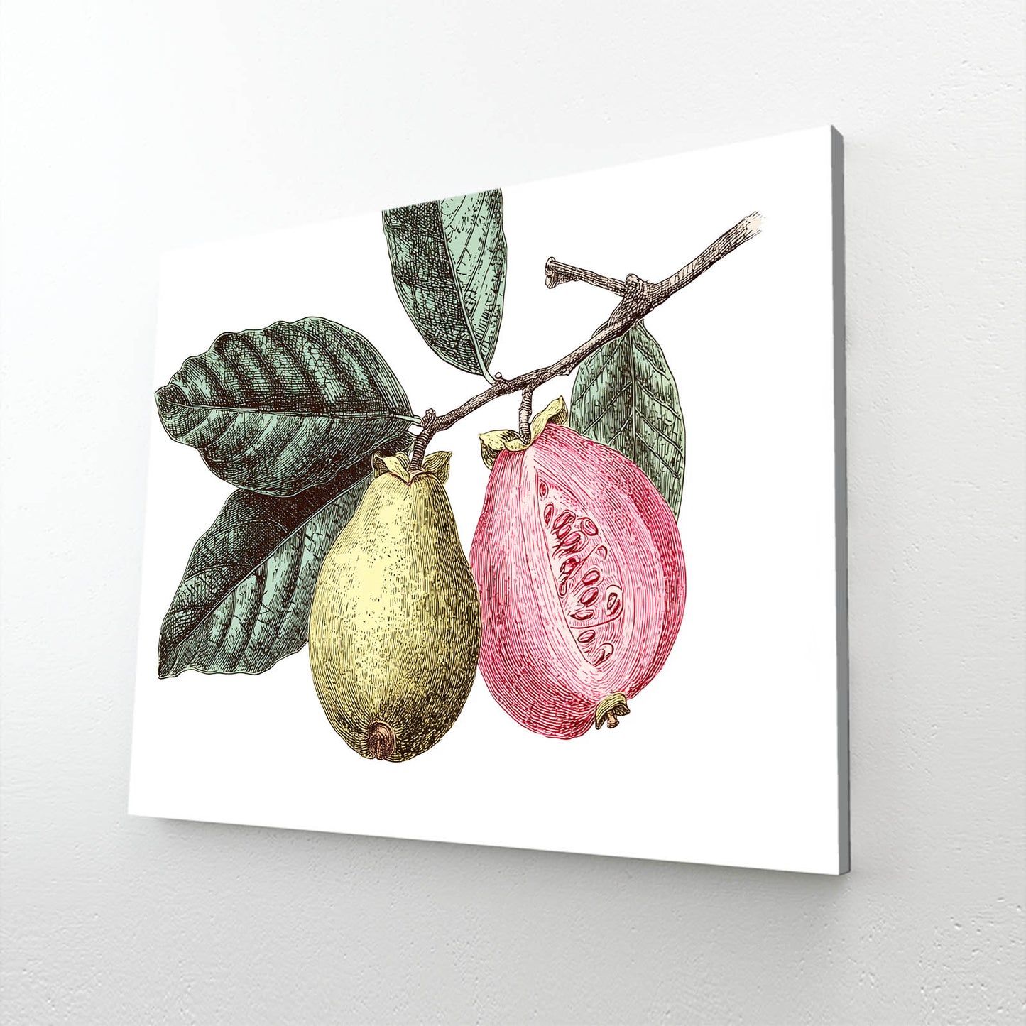 Botanical Pear Guava Fruit Wall Decor – canvas print on white background