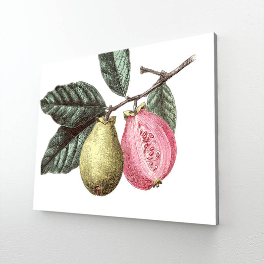 Botanical Pear Guava Fruit Wall Decor – canvas print on white background