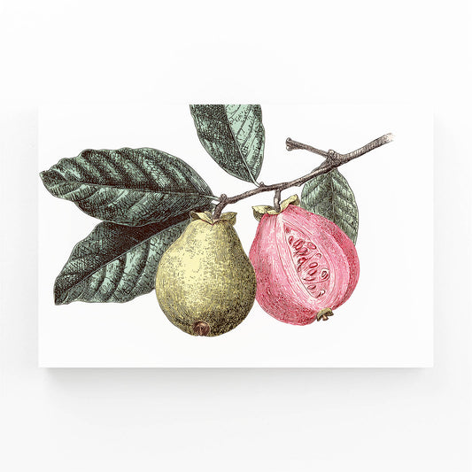 Botanical Pear Guava Fruit Wall Decor – angled canvas view on white background