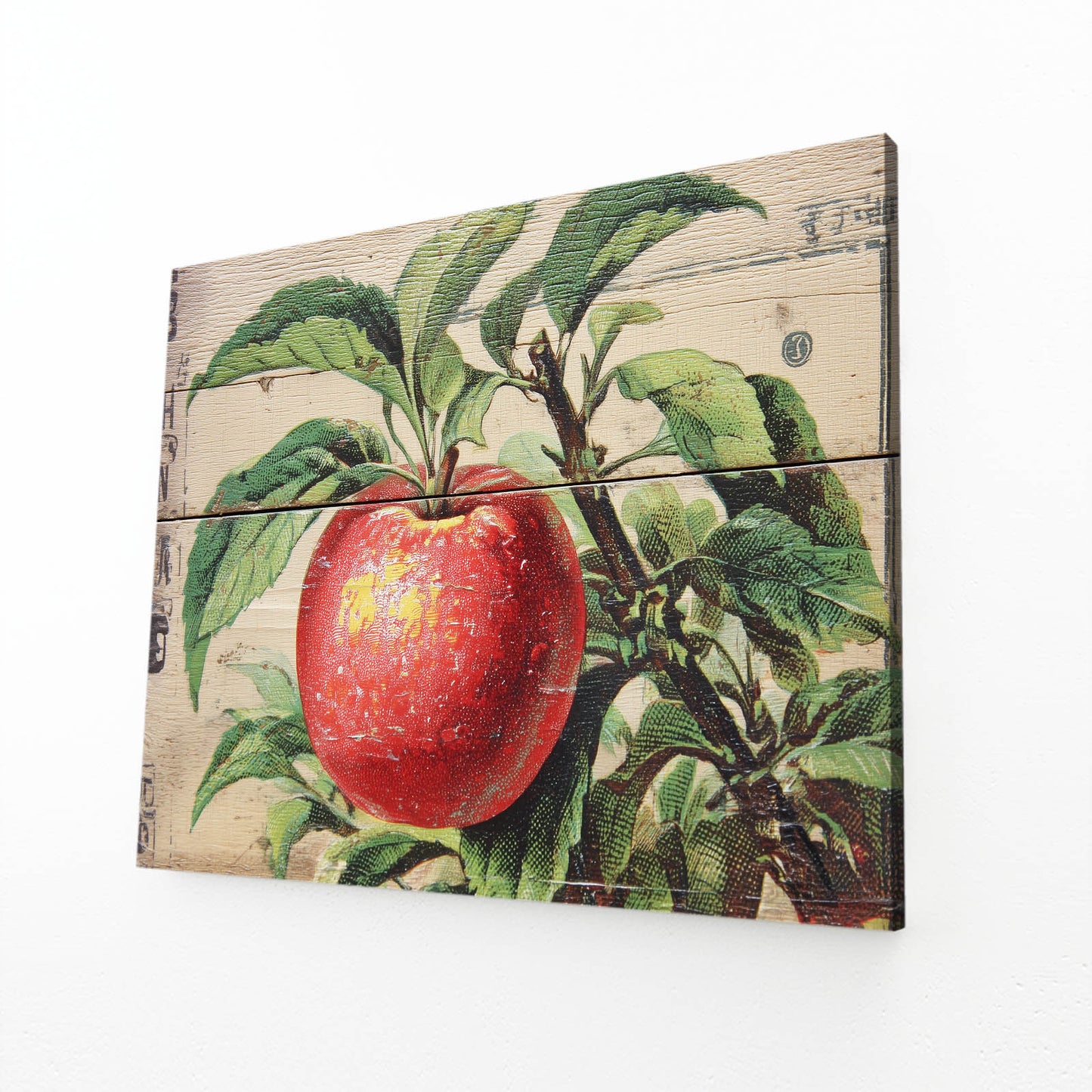 Botanical Wood Panel Apple Prints – angled canvas view on white background