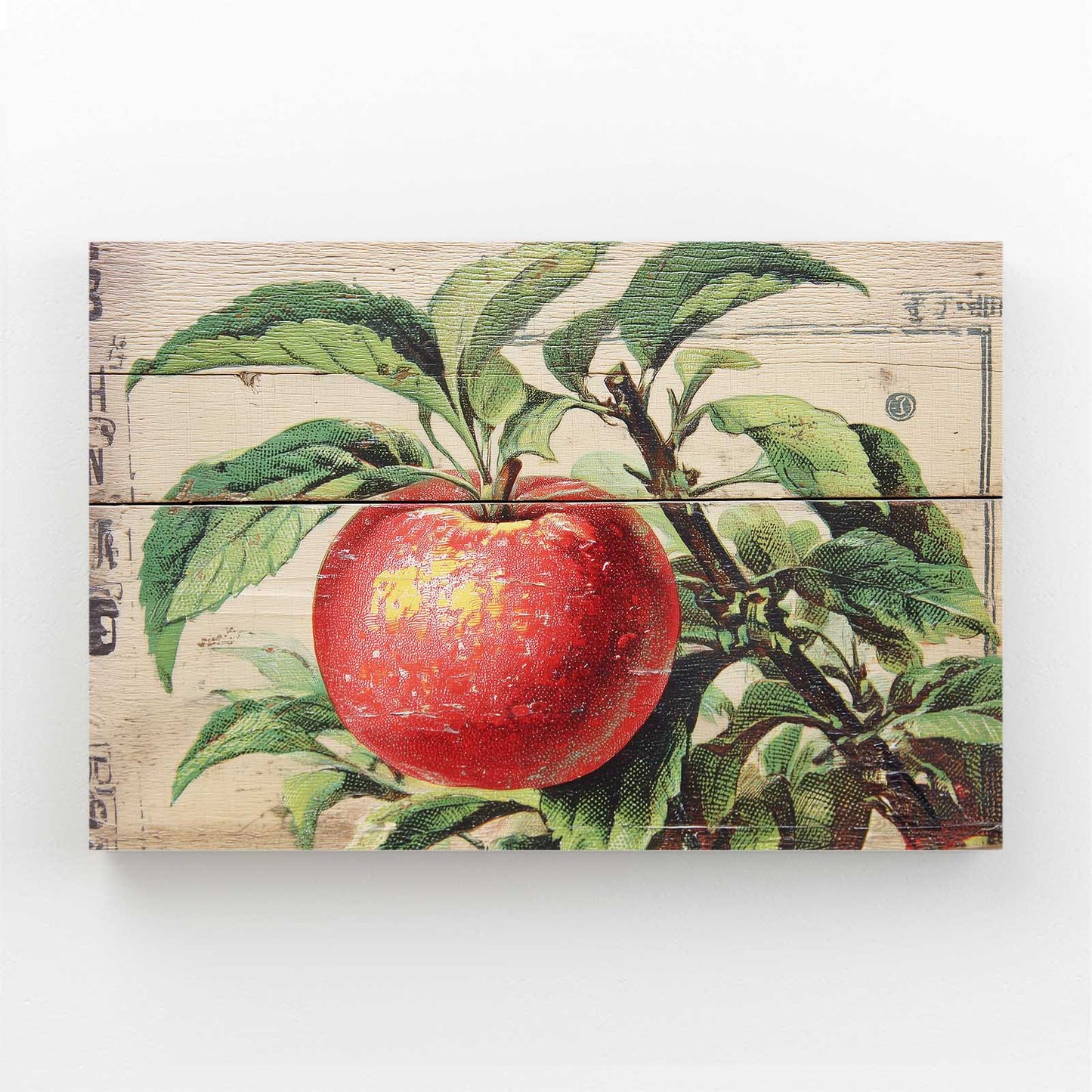 Botanical Wood Panel Apple Prints – botanical wood panel apple canvas print