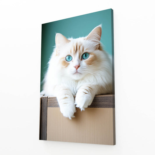 Box Perch Fluff Cat Wall Art — photography canvas print, angled canvas view on white background