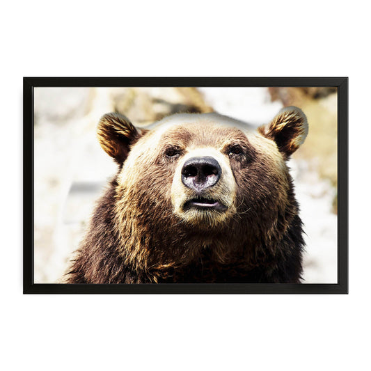 Brown Bear Wall Art – canvas print on white background