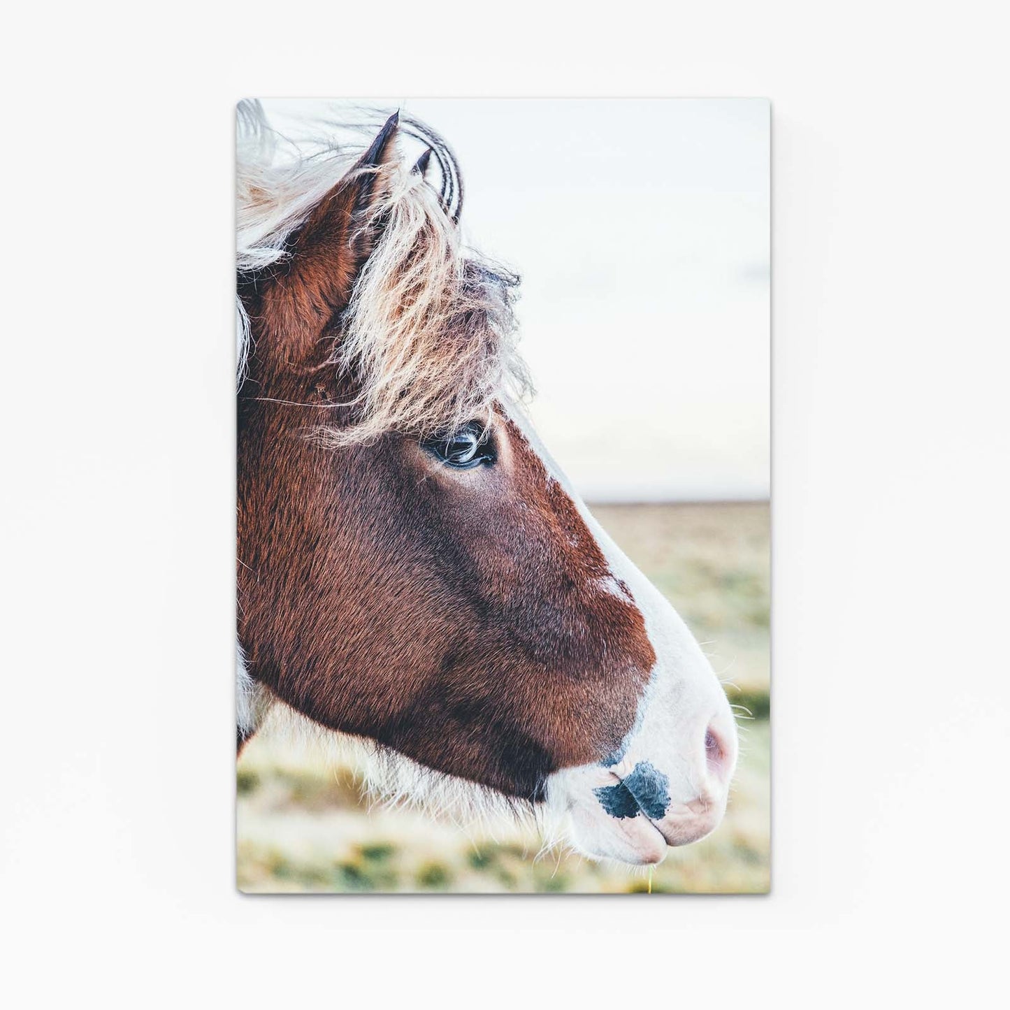 Brown Horse Art – angled canvas view on white background