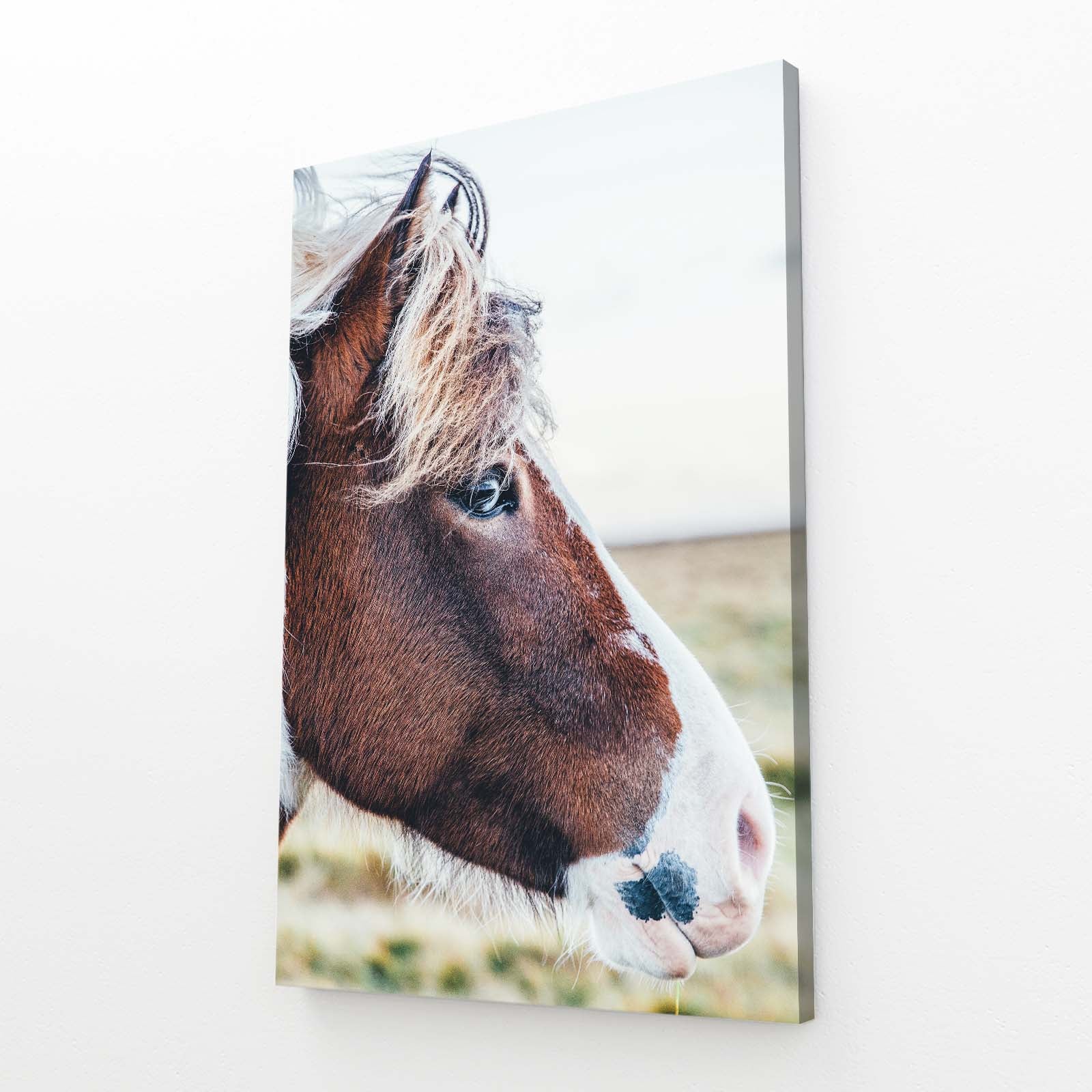 Brown Horse Art – angled canvas view on white background