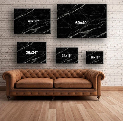 Butterflies Canvas Wall Art