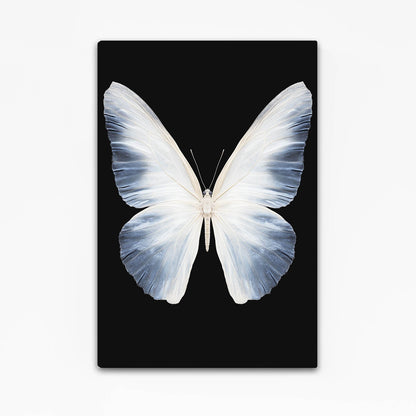 Butterfly Black and White Wall Art