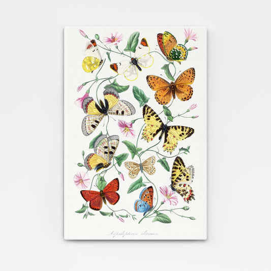 Butterfly Canvas Art