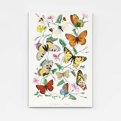 Butterfly Canvas Art