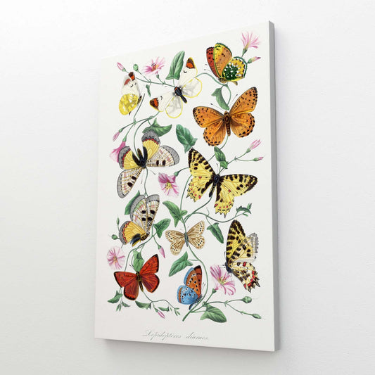 Butterfly Canvas Art