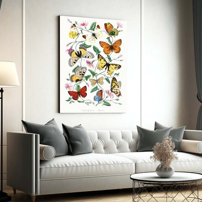 Butterfly Canvas Art