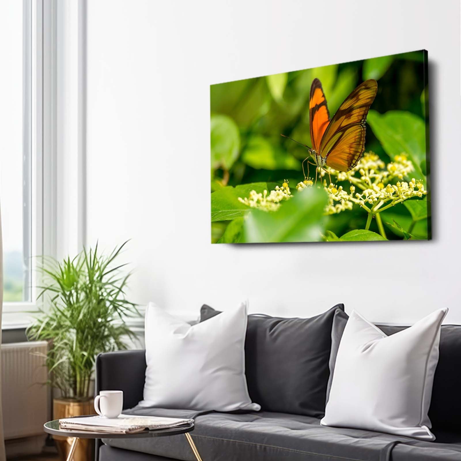 Butterfly Photography Wall Art