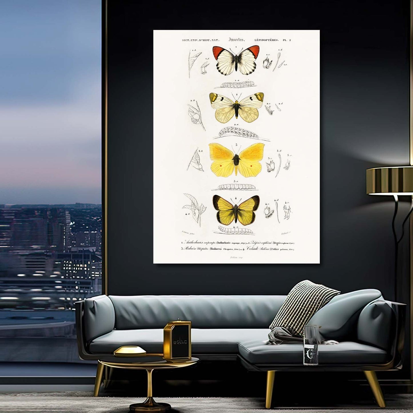 Butterfly Study Wall Art