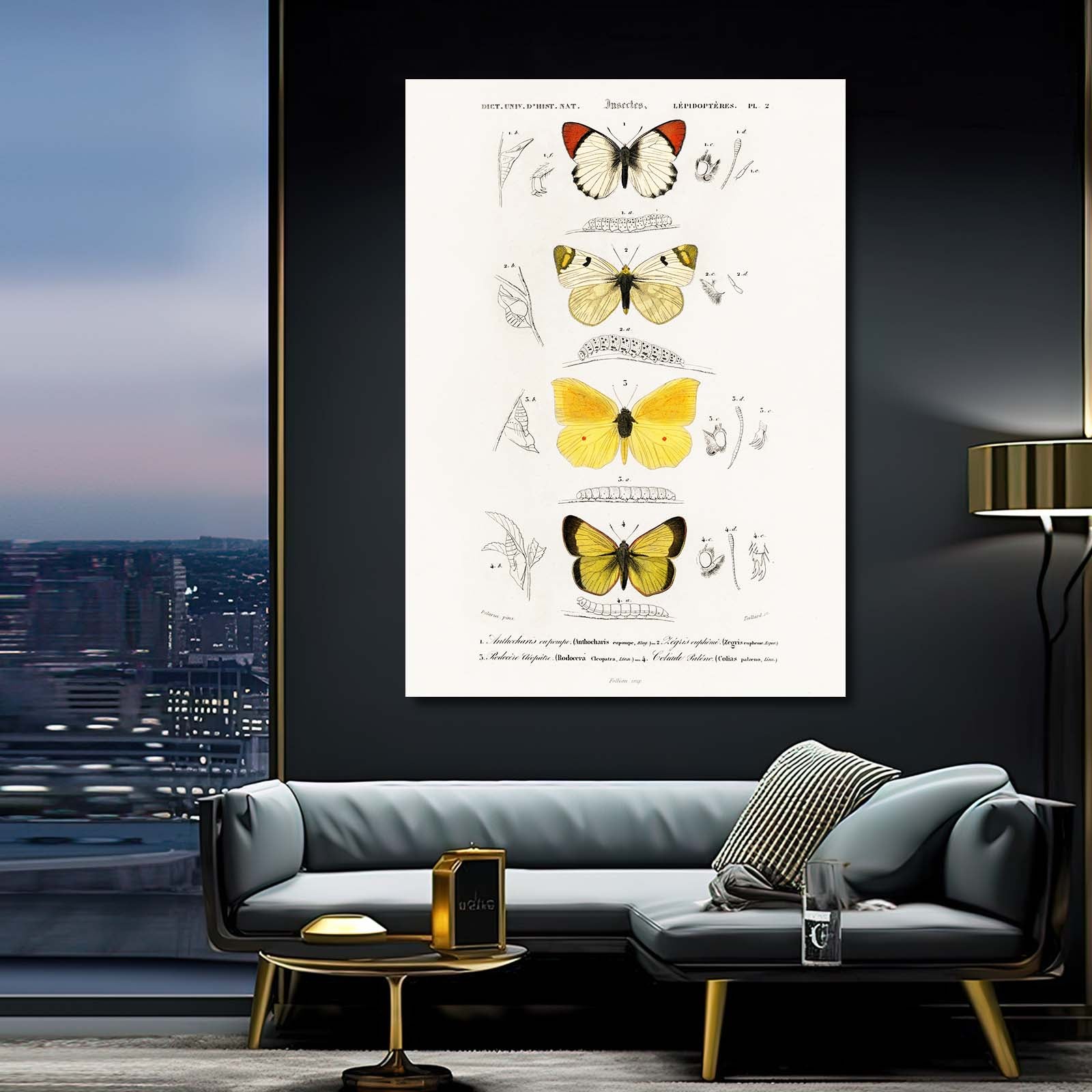 Butterfly Study Wall Art