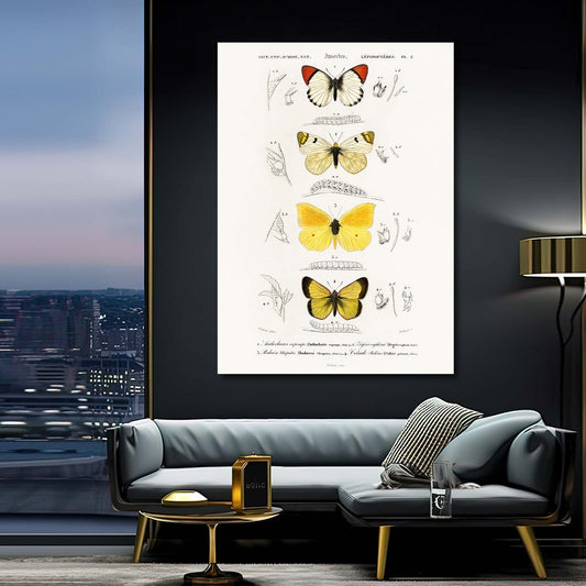 Butterfly Study Wall Art — botanical canvas print in white tones, view 3