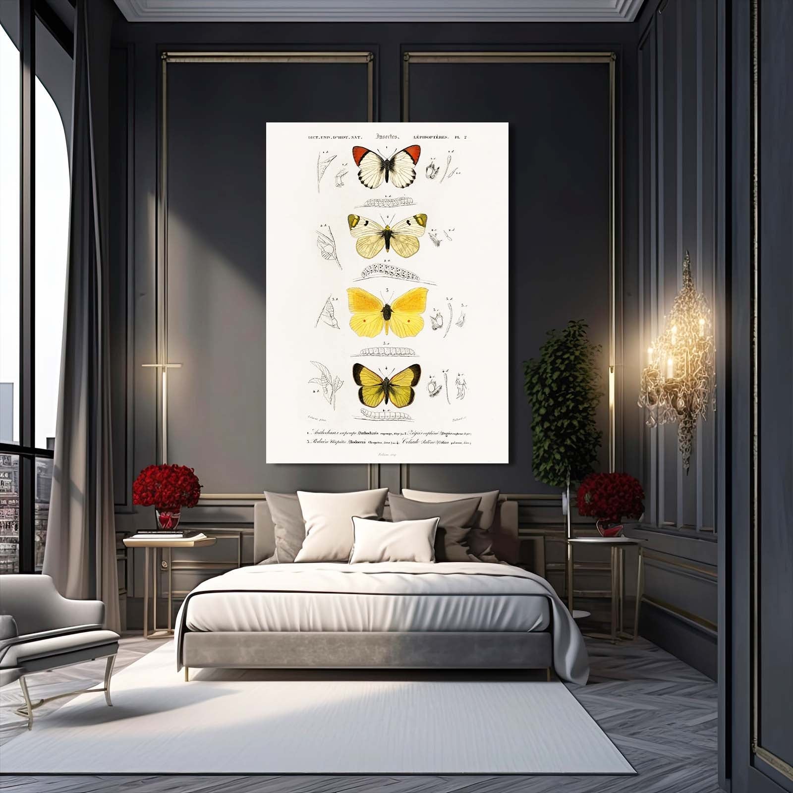 Butterfly Study Wall Art