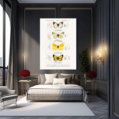 Butterfly Study Wall Art