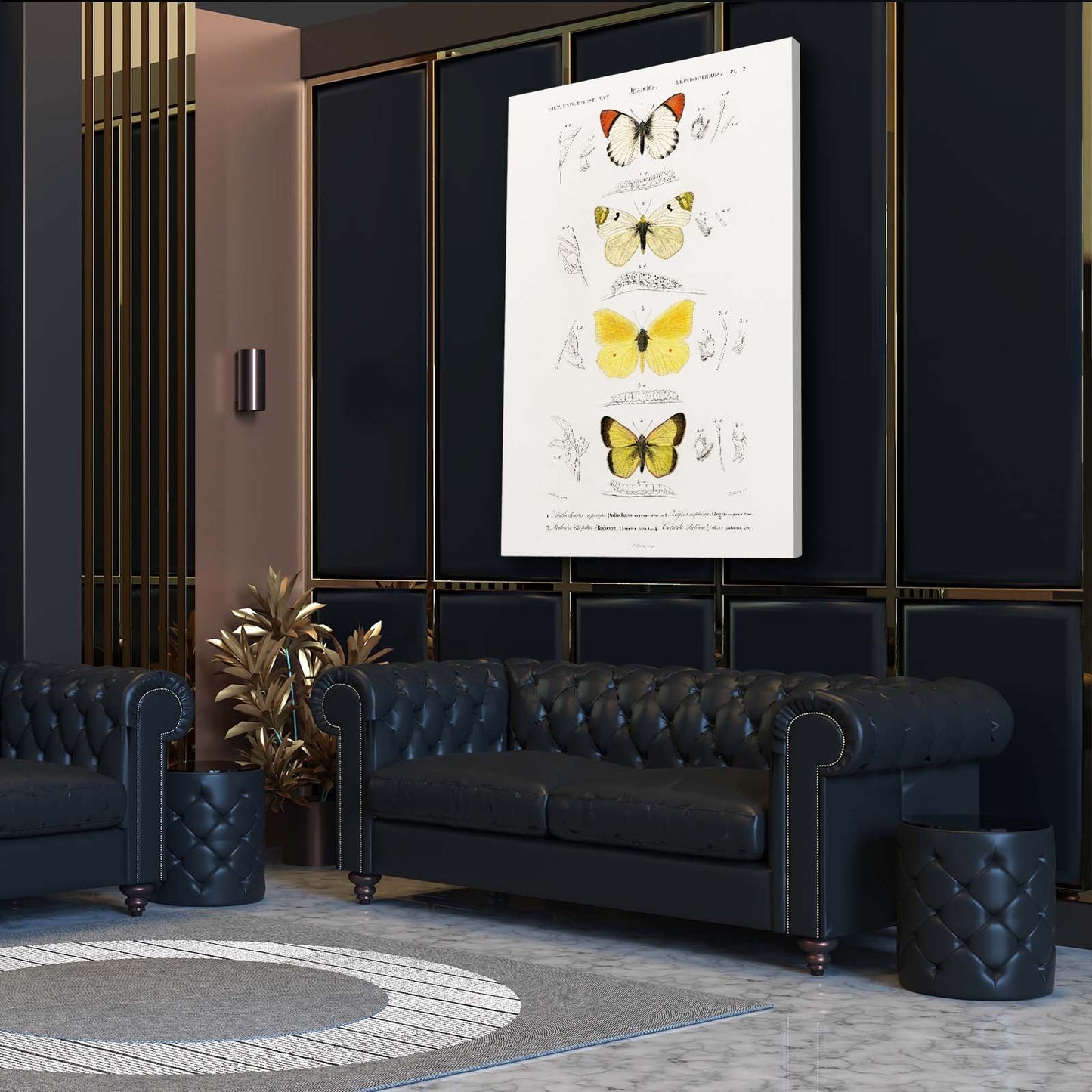 Butterfly Study Wall Art