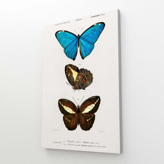 Butterfly Wall Art Naturalist — botanical canvas print in white tones, view 3