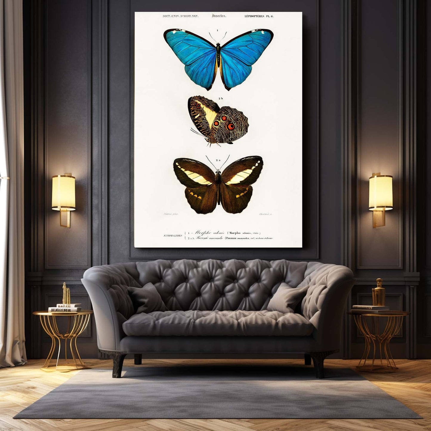 Butterfly Wall Art Naturalist