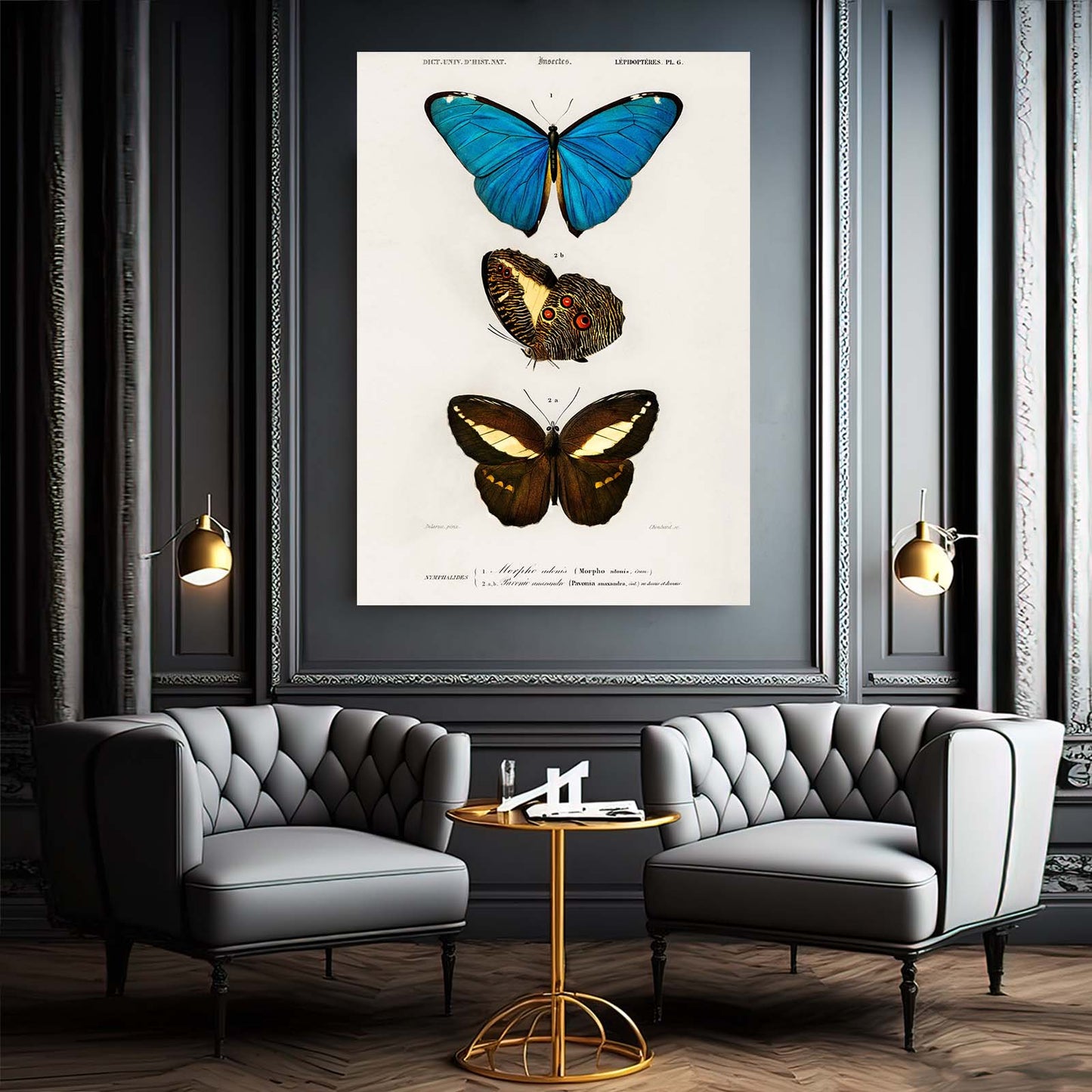 Butterfly Wall Art Naturalist