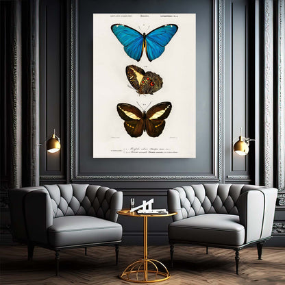 Butterfly Wall Art Naturalist