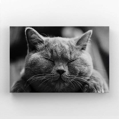Cat Art Wall Decor