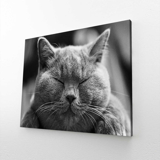 Cat Art Wall Decor