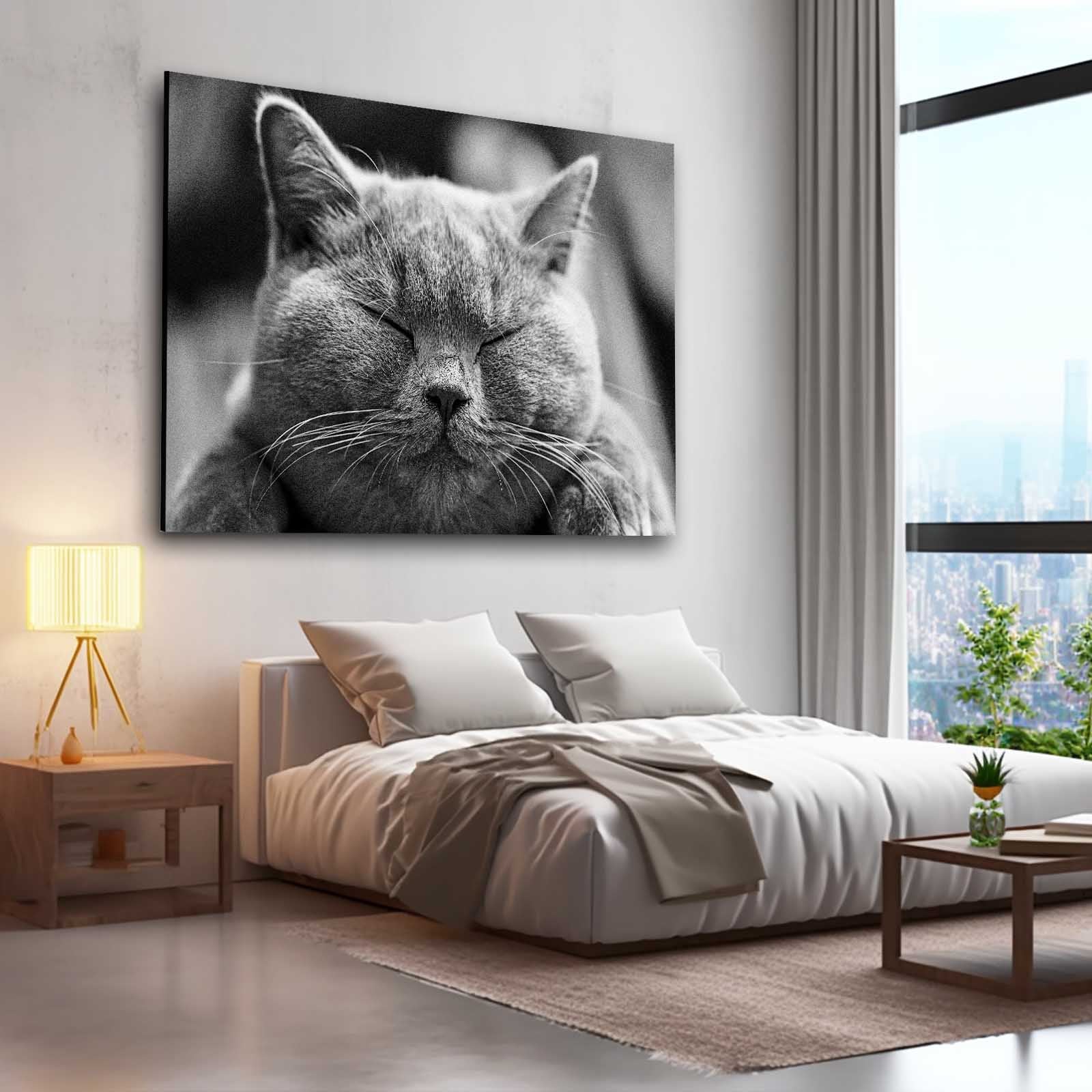 Cat Art Wall Decor