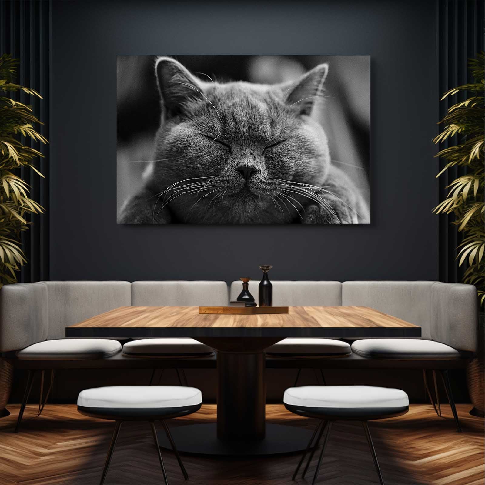 Cat Art Wall Decor