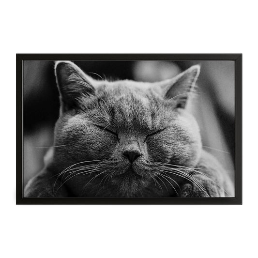 Cat Art Wall Decor – canvas print on white background