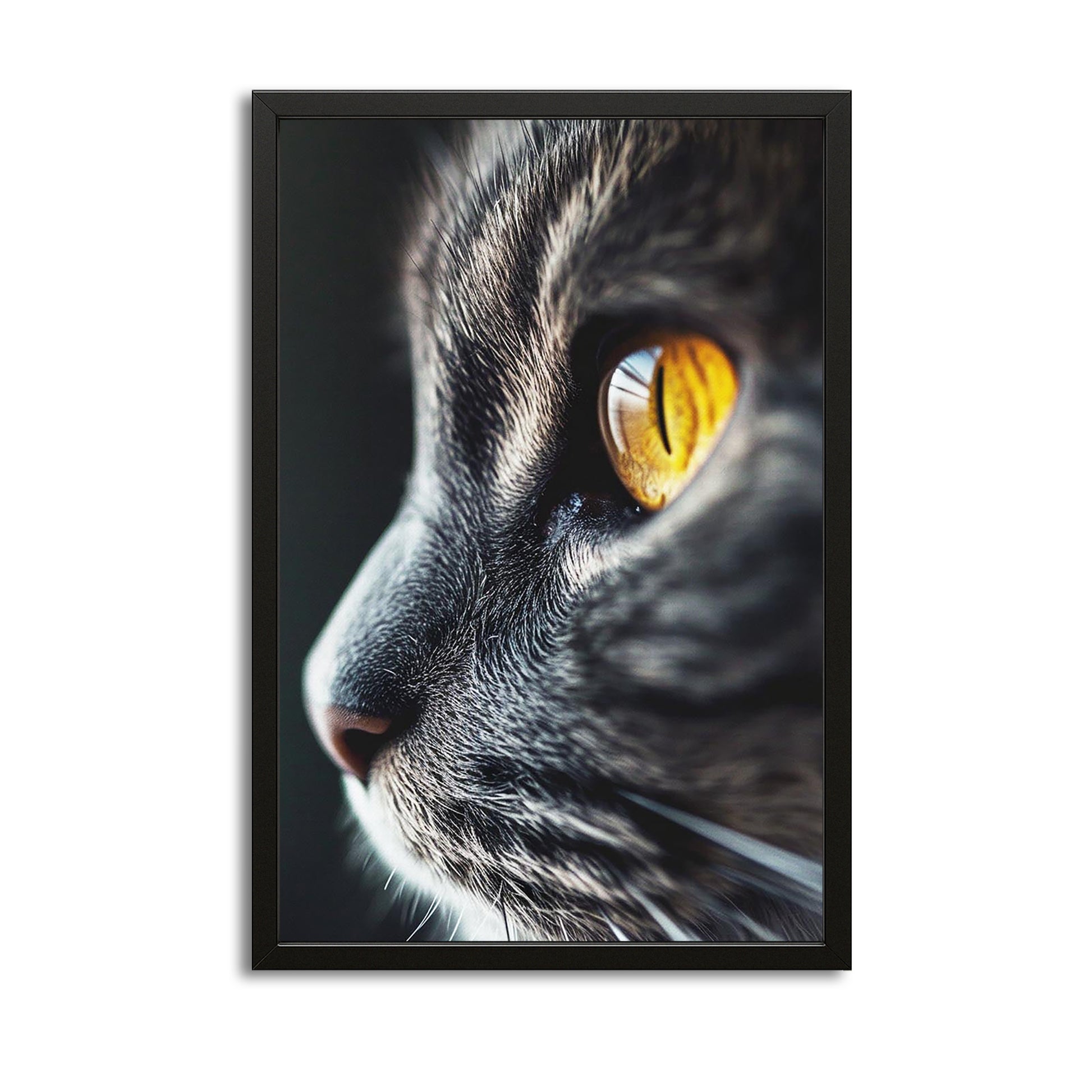 Cat Canvas Print – canvas print on white background