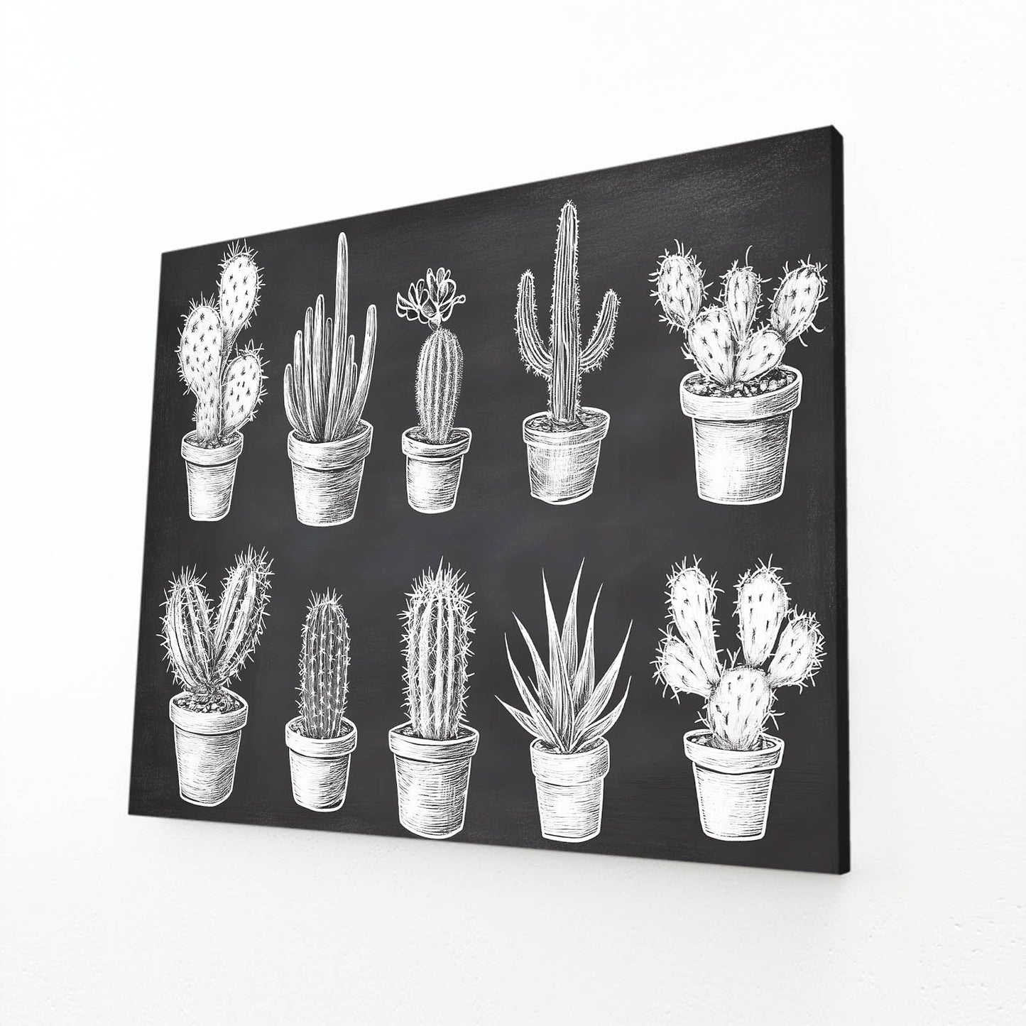 Chalk Specimen Chart Cactus Wall Art – angled canvas view on white background