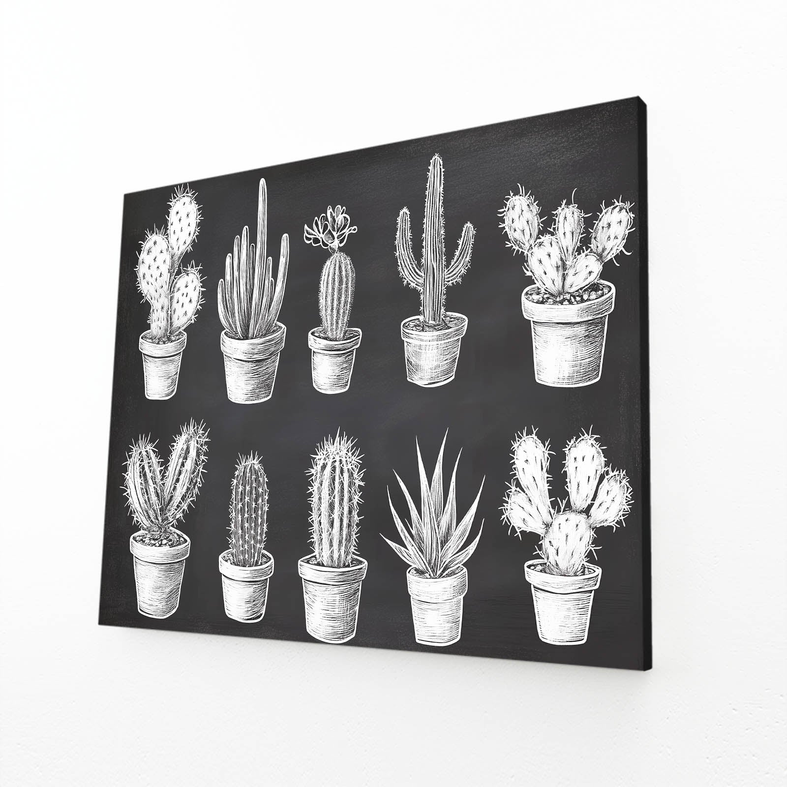 Chalk Specimen Chart Cactus Wall Art – angled canvas view on white background