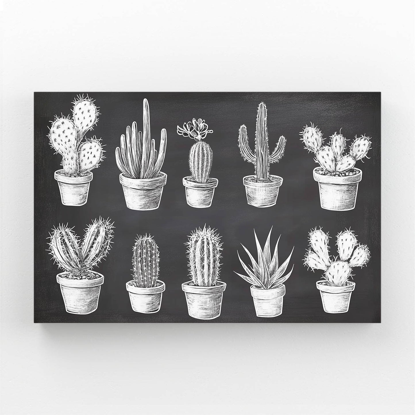 Chalk Specimen Chart Cactus Wall Art – chalk specimen chart cactus canvas print
