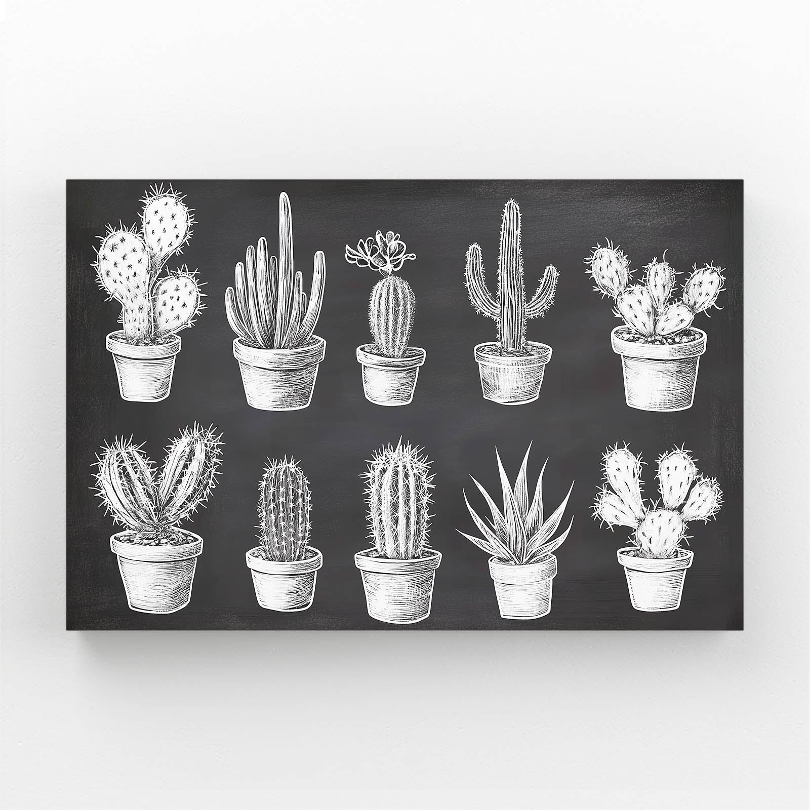 Chalk Specimen Chart Cactus Wall Art – chalk specimen chart cactus canvas print