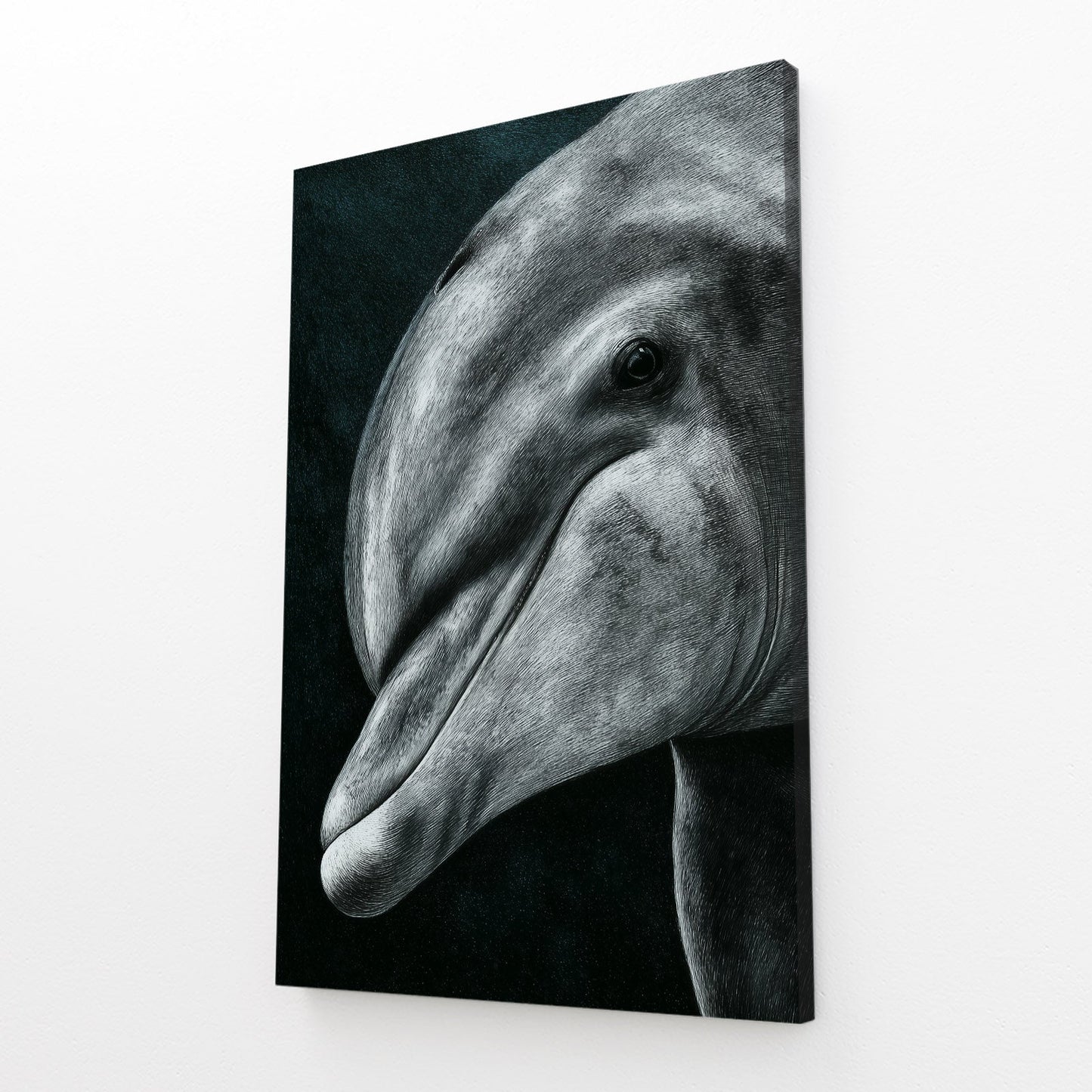 Charcoal Gaze Dolphin Canvas – angled canvas view on white background
