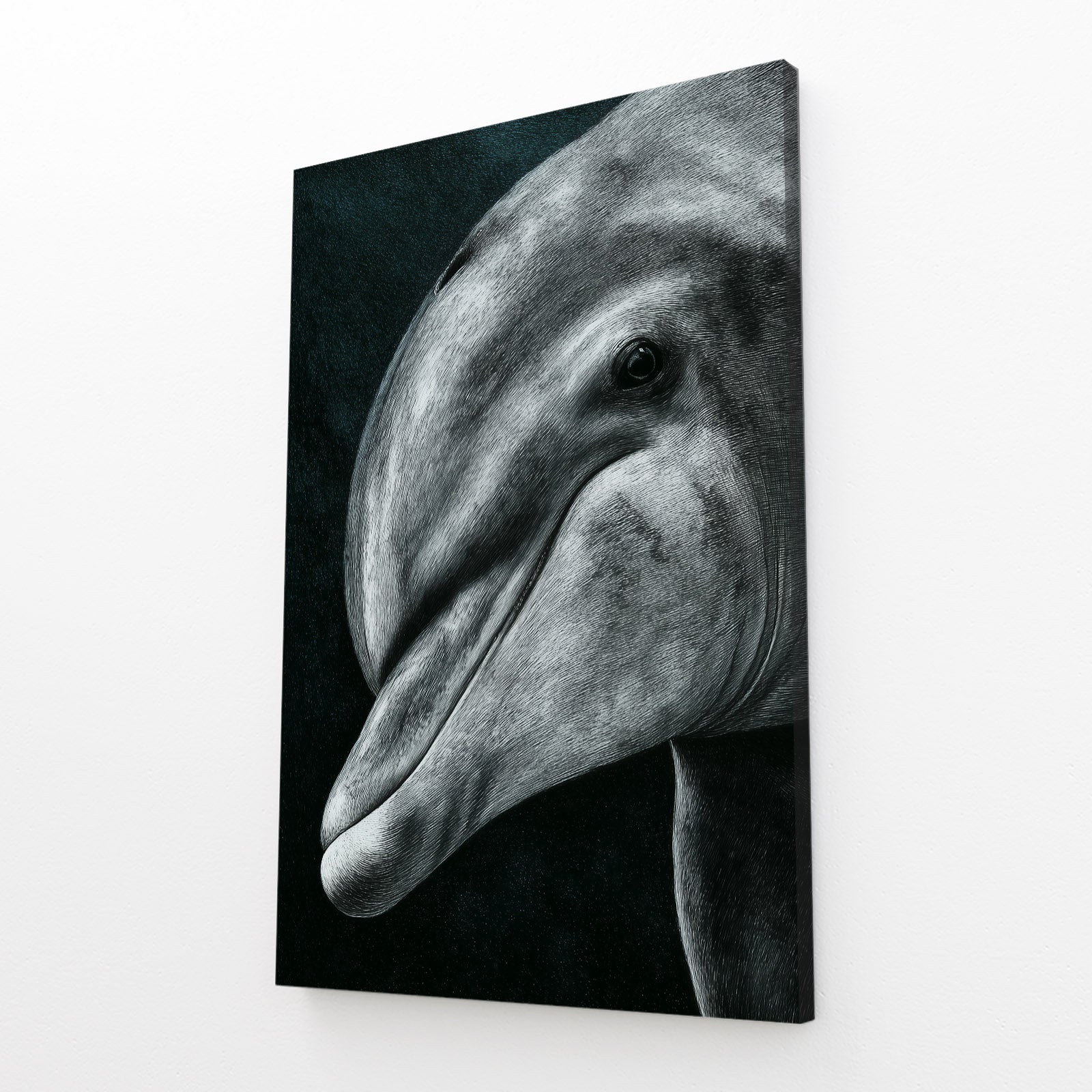 Charcoal Gaze Dolphin Canvas – angled canvas view on white background