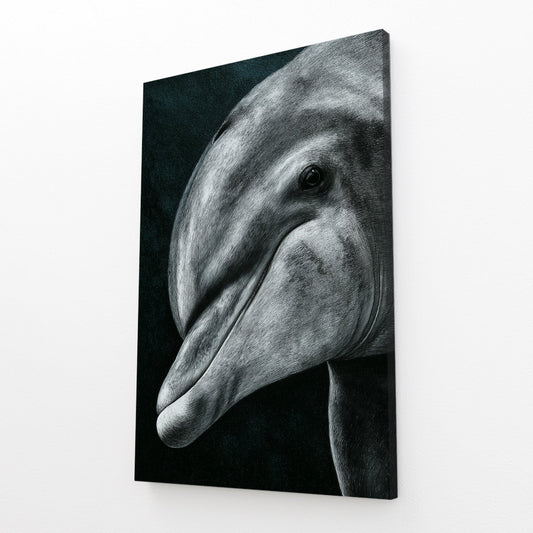 Charcoal Gaze Dolphin Canvas – angled canvas view on white background