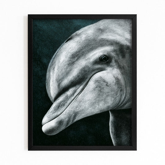Charcoal Gaze Dolphin Canvas – with Premium Black wood frame on white background