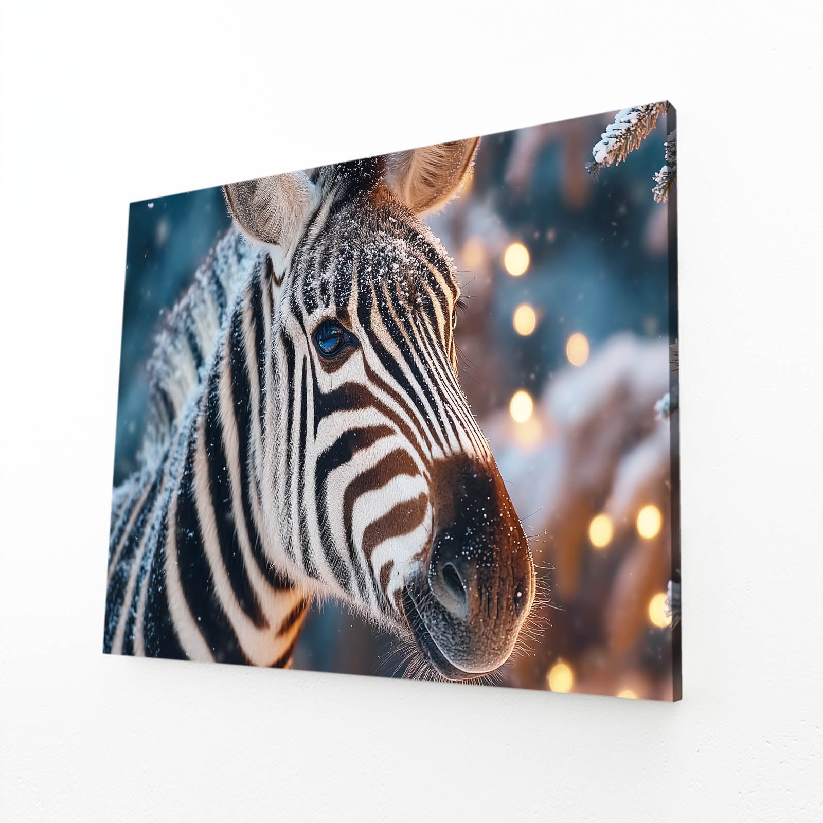 Chrismas Zebra Wall Art – angled canvas view on white background