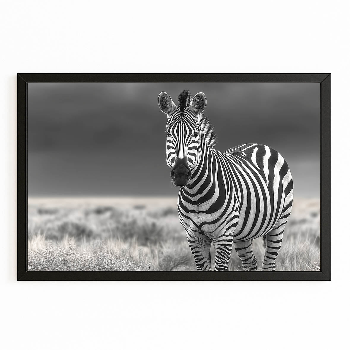 Classic Zebra Artwork – with Premium Black frame on white background