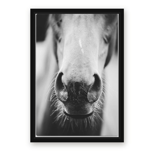 Closeup Horse Canvas Art – with Premium Black wood frame
