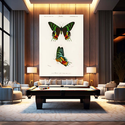 Colorful Scientific Butterfly Wall Art