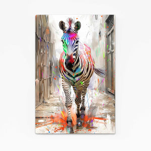 Colorful Zebra Prints